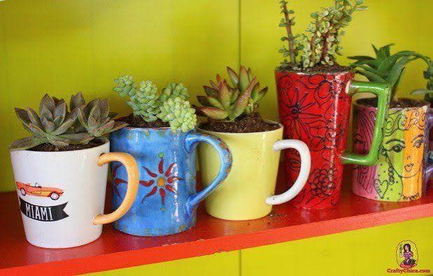 Plant Gifts
