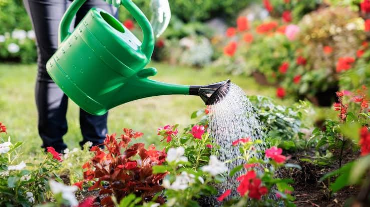 Watering