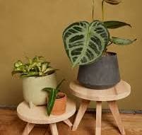 Wooden Plant Tables