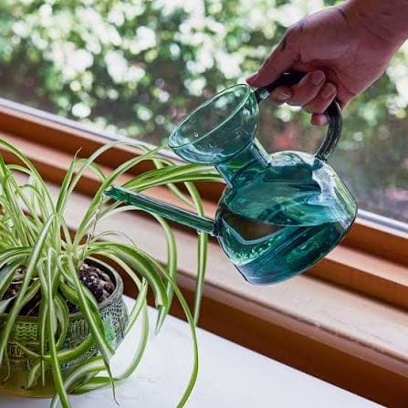 Indoor Watering Can