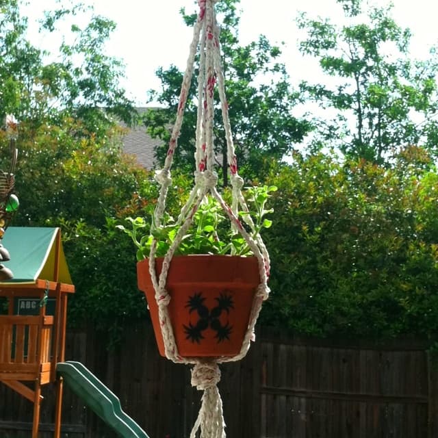 Hanging Pot