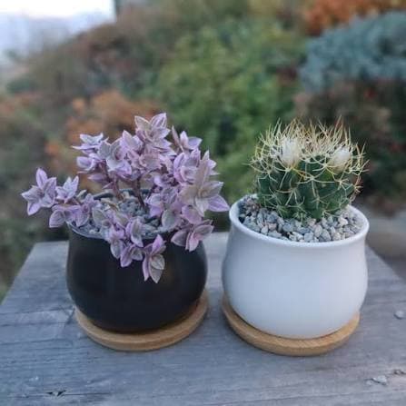 Ceramic Pot