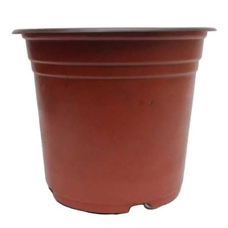 Large Pots (L)