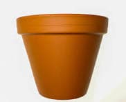 Medium Pots (M)